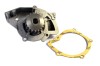 Pompa apa CITROEN C5 II (RC) (2004 - 2016) THERMOTEC D1P039TT