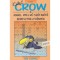 Crow - Kids 2 - 500 sz&oacute;val - Angol nyelvű sz&oacute;tan&iacute;t&oacute; keresztrejtv&eacute;nyek - Vill&aacute;nyi Edit