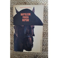 Neagu Radulescu - Napoleon fugea repede