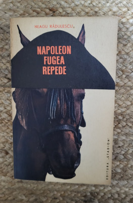 Neagu Radulescu - Napoleon fugea repede foto