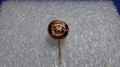 insigna Minerul Baita foto