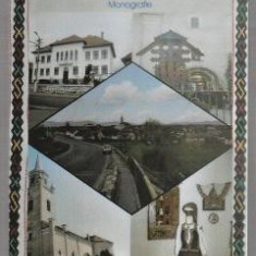 Vladeni. Monografie - Gheorghe Bozocea
