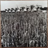 Combine in lanul de grau, Romania comunista// fotografie de presa