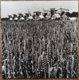 Combine in lanul de grau, Romania comunista// fotografie de presa, Romania 1900 - 1950, Portrete