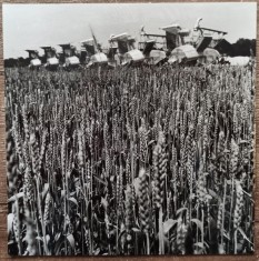 Combine in lanul de grau, Romania comunista// fotografie de presa