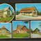 CPIB 19327 CARTE POSTALA - PREDEAL, MOZAIC