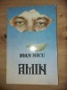 Amin- Ioan Micu