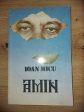 Amin- Ioan Micu