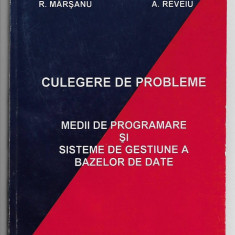 Culegere de probleme Medii de programare si sisteme de gestiunea bazelor de date