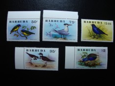 BARBUDA PASARI MNH foto
