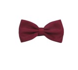 Papion Copii Visiniu 9.5x5cm, Poliester, Sistem Reglabil - Elegant, Ocazii Speciale