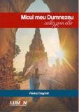Cumpara ieftin Micul meu Dumnezeu. Calea prin eter/Flavius Dragomir
