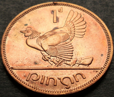 Moneda 1 PENNY / PINGIN - IRLANDA, anul 1968 *cod 3060 foto