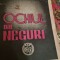 Ladmiss Andreescu - Ochiul din Neguri
