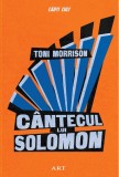 Cantecul lui Solomon - Toni Morrison, Art