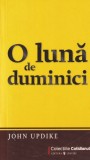 John Updike - O luna de duminici