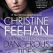 Dangerous Tides