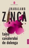 Taina Cavalerului De Dolenga - Haralamb Zinca