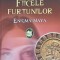 FIICELE FURTUNILOR - ENIGMA MAYA-JORDI SIERRA I FABRA-252451