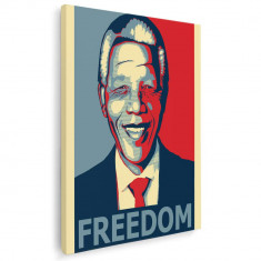 Tablou Mandela lider politic Tablou canvas pe panza CU RAMA 70x100 cm