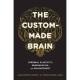 The Custommade Brain Cerebral Plasticity Regeneration And Enhancement