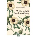 A kis sz&ouml;uli fazekasműhely - Jon Szomin