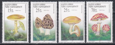 Ciprul Turc 1997 - Ciuperci, MNH foto