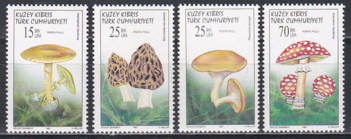 Ciprul Turc 1997 - Ciuperci, MNH