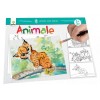 Primele mele picturi Animale, Gama