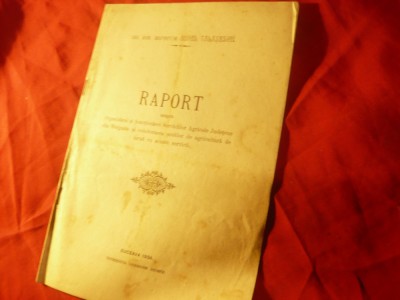 A.Talasescu - Raport- Organizare-Functionare Servicii Agricole Judetene Bulgaria foto