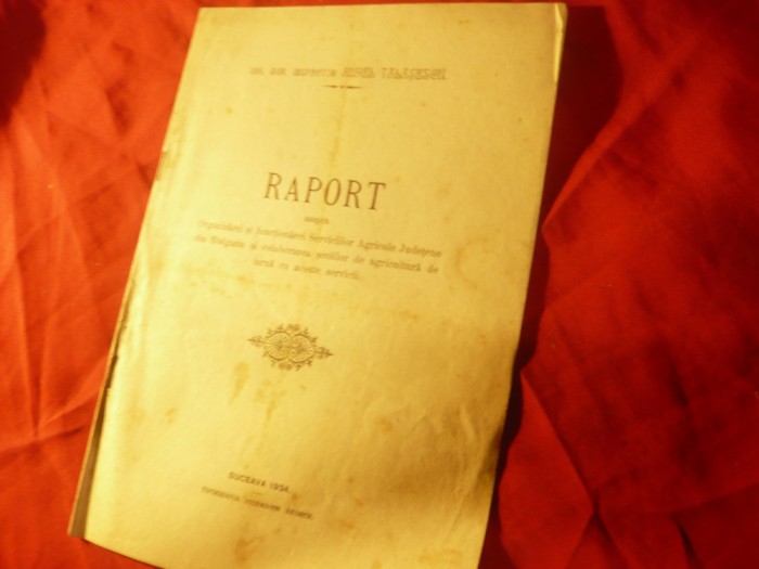 A.Talasescu - Raport- Organizare-Functionare Servicii Agricole Judetene Bulgaria