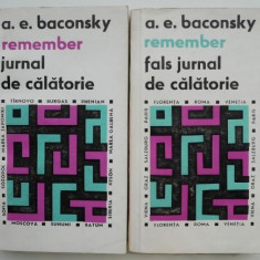 Remember. Jurnal de calatorie/Fals jurnal de calatorie (2 volume) – A. E. Baconsky