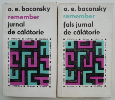 Remember. Jurnal de calatorie/Fals jurnal de calatorie (2 volume) &amp;ndash; A. E. Baconsky foto