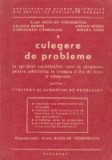 Culegere de probleme in sprijinul candidatilor care se pregatesc pentru admiterea in treapta a II-a de liceu si olimpiade, Partea I - Strategii si alg