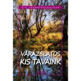 Var&aacute;zslatos kis tavaink - Bern&aacute;th Istv&aacute;n