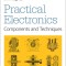 Practical Electronics: Components and Techniques: Components and Techniques