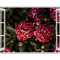 Autocolant decorativ, Fereastra, Arbori si flori, Multicolor, 83 cm, 380ST