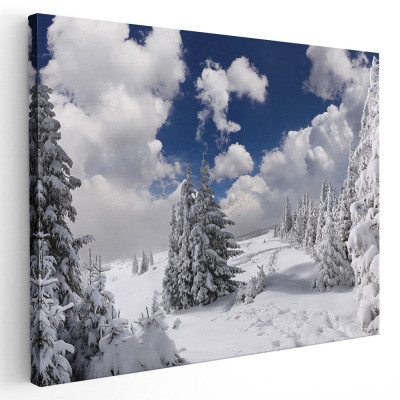 Tablou peisaj brazi iarna Tablou canvas pe panza CU RAMA 60x80 cm foto