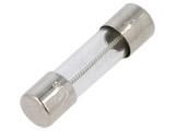 Siguranță &icirc;nt&acirc;rziere 1A 250V cilindrică sticlă, SCHURTER