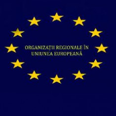 Organizatii regionale in Uniunea Europeana - Cristina Vohn