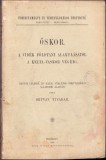 1108SPN Temesv&aacute;rmegye &eacute;s Temesv&aacute;rv&aacute;ros t&ouml;rt&eacute;nete a legr&eacute;gibb a jelenkorig ... 1896