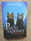 Erin Hunter - Pisicile Razboinice. Foc si gheata