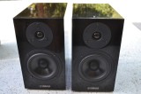 Boxe Yamaha NS BP 300