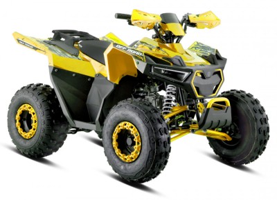 ATV Barton Terrax 125cc, 4 timpi, 3+1 viteze, roti de 8&amp;quot;, culoare galben Cod Produs: MX_NEW MXTERRAX125GA foto
