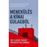 Menek&uuml;l&eacute;s a k&iacute;nai Gulagb&oacute;l - Egy ujgur fogoly megr&aacute;z&oacute; vallom&aacute;sa - Gulbahar Haitivaji