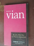 Blues pentru o pisica neagra