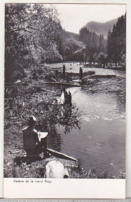 bnk cp Vedere de la Lacul Rosu - necirculata foto