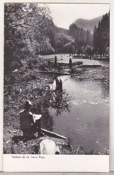 bnk cp Vedere de la Lacul Rosu - necirculata
