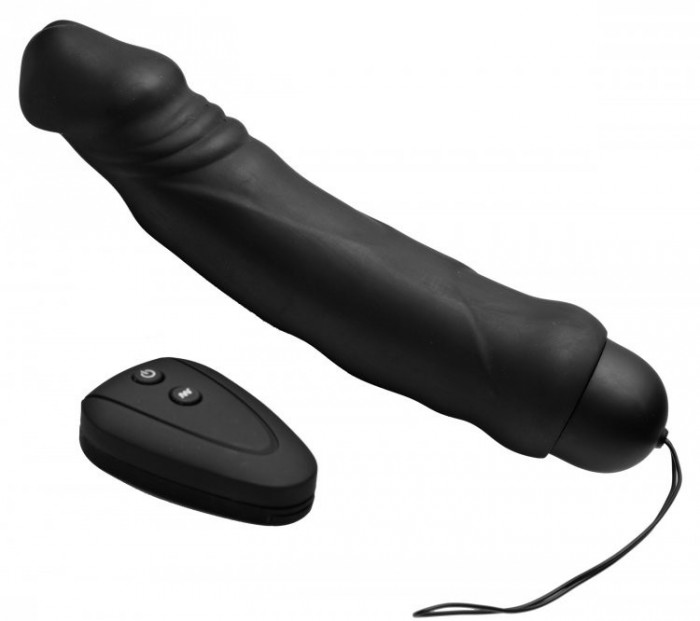 Ivan 10x Mode Remote Vibrator Master Series