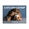 Cats on Catnip